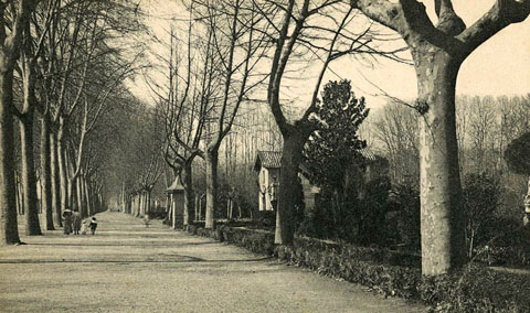 Passeig central de la Devesa. Al centre, davant l'entrada als Jardins, s'hi observa el quiosc de begudes. 1906-1918