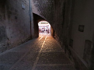 VII Festa Reviu els Setges Napole&ograve;nics de Girona