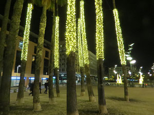 Nadal 2021. Els llums de Nadal