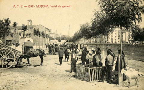 Mercat del bestiar al passeig del General Mendoza. A l'esquerra el convent del Mínims o de Sant Francesc de Paula i a la dreta, el Pont del Carme. 1905