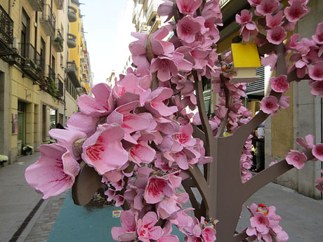 Temps de Flors 2022. Carrer Nou - Zona U de Girona