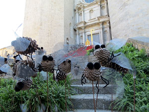 Temps de Flors 2022. Basílica de Sant Feliu. Escalinata principal