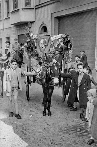 Festa de Sant Antoni Abat al barri del Mercadal. Un carruatge tibat per un ruc al carrer Hortes. A la dreta, el fill del fotògraf, Lluís Massafont. 1954