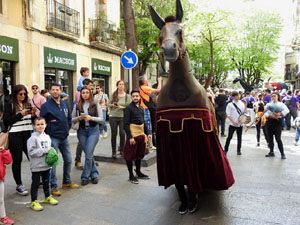 Festes de Primavera de Girona 2023. VII Trobada de Mulasses
