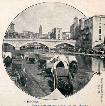 El pont de Pedra i el mercat de l'Areny. 1896