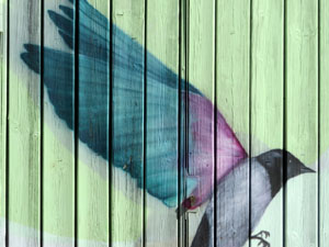 Festival monar'T a diversos indrets de Can Gibert del Pla i Santa Eugènia