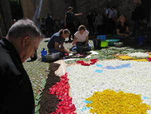 La Diada de Corpus 2024. Les catifes