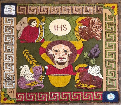 Catifa de l'interior de la nau de la Catedral vista des del trifori