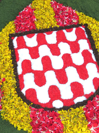 Detall d'una de les catifes amb l'escut de la Ciutat