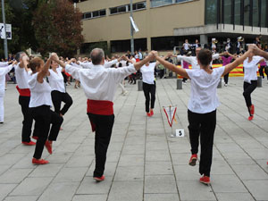 Fires de Sant Narcís 2023. Concurs de colles sardanistes