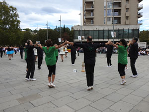 Fires de Sant Narcís 2023. Concurs de colles sardanistes