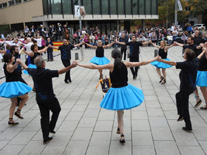 Fires de Sant Narcís 2023. Concurs de colles sardanistes