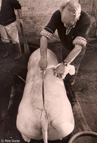 La matança del porc a Mieres, La Garrotxa