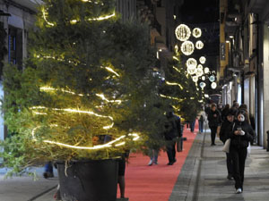 Nadal 2023. Els llums de Nadal