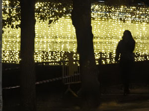 Nadal 2023. Els llums de Nadal