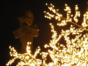 Nadal 2023. Els llums de Nadal