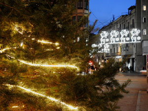 Nadal 2023. Els llums de Nadal