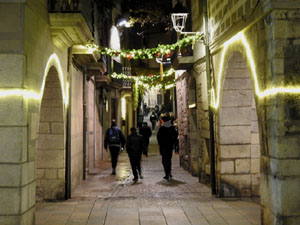 Nadal 2023. Els llums de Nadal