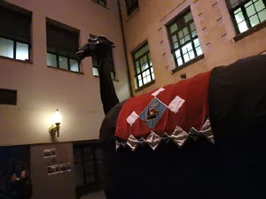 Nadal 2023 a Girona. Pastorets de la Mula Baba