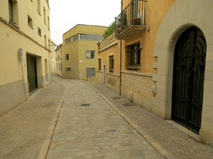 El carrer del Portal Nou