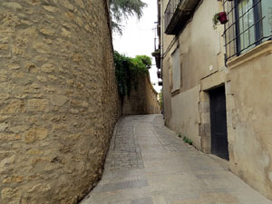 El carrer del Portal Nou