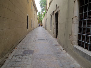 El carrer del Portal Nou