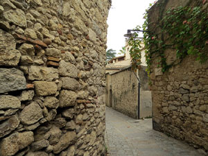 El carrer del Portal Nou