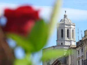 Diada de Sant Jordi a Girona