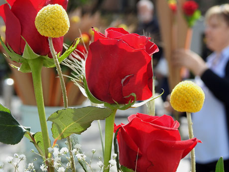 Festivitats i esdeveniments. Diada de Sant Jordi 2024 a Girona