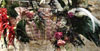 Jardins dels Alemanys