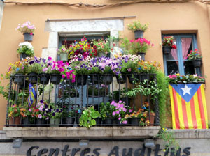 Temps de Flors 2024. Altres instal&middot;lacions