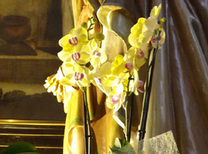 Temps de Flors 2024. Altres instal&middot;lacions