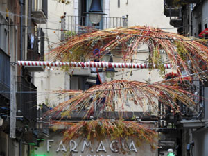 Temps de Flors 2024. Carrer Argenteria