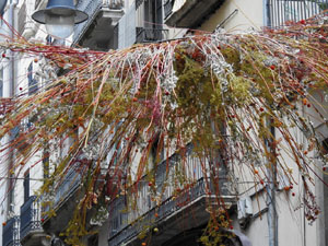 Temps de Flors 2024. Carrer Argenteria