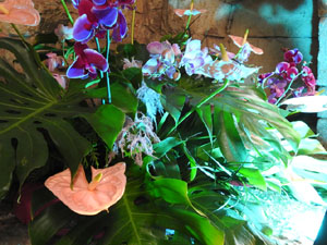 Temps de Flors 2024. Banys &Agrave;rabs