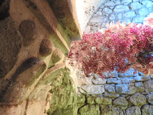 Temps de Flors 2024. Banys &Agrave;rabs