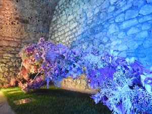 Temps de Flors 2024. Banys &Agrave;rabs