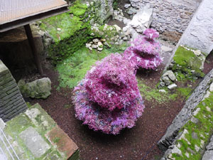 Temps de Flors 2024. Banys &Agrave;rabs