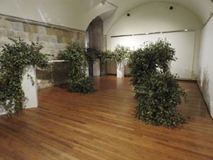 Temps de Flors 2024. Palau de Caramany