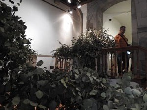 Temps de Flors 2024. Palau de Caramany