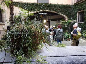 Temps de Flors 2024. Palau de Caramany