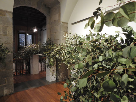 Temps de Flors 2024. Palau de Caramany