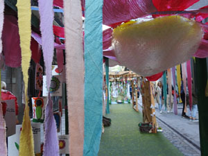 Temps de Flors 2024. Carrer Nou