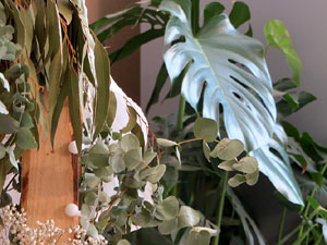 Temps de Flors 2024. Casa de Cultura