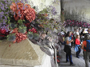 Temps de Flors 2024. Claustre de la Catedral