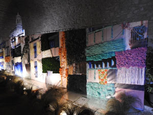 Temps de Flors 2024. Catedral - Soterranis