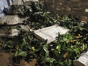 Temps de Flors 2024. Catedral - Soterranis