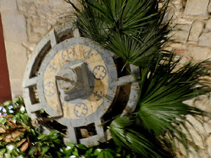 Temps de Flors 2024. Catedral - Soterranis