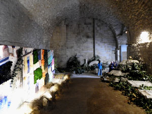 Temps de Flors 2024. Catedral - Soterranis