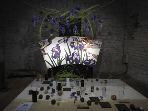 Temps de Flors 2024. Catedral - Soterranis